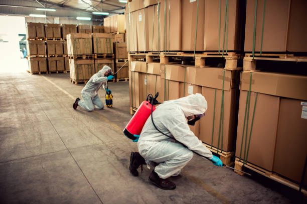 Best Pest Control Treatment  in Jim Thorpe, PA