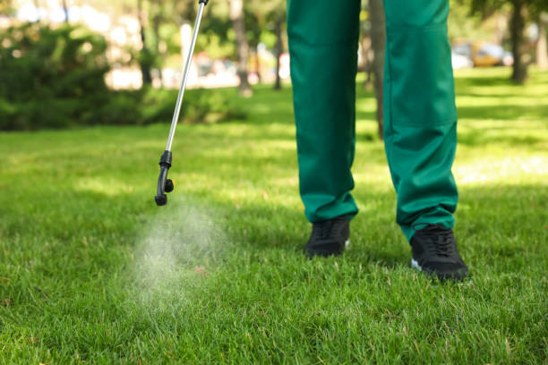 Best Pest Control for Restaurants  in Jim Thorpe, PA