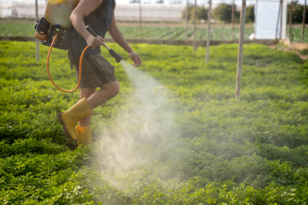 Best Pest Prevention Services  in Jim Thorpe, PA