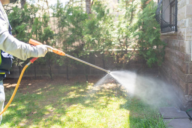 Best Pest Control for Businesses  in Jim Thorpe, PA