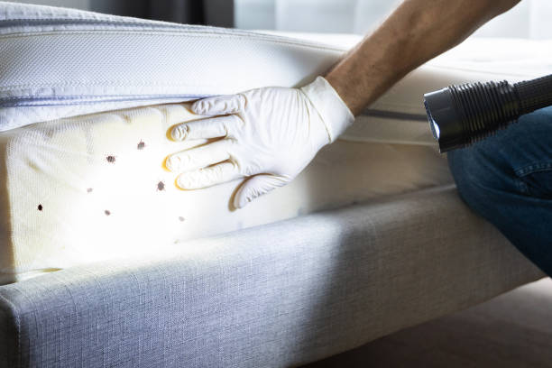 Pest Control for Restaurants in Jim Thorpe, PA