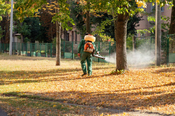 Best Rat Extermination Near Me  in Jim Thorpe, PA