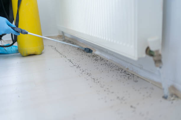 Best Pest Inspection Near Me  in Jim Thorpe, PA