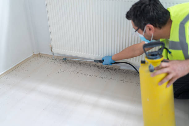 Best Mosquito Control Services  in Jim Thorpe, PA