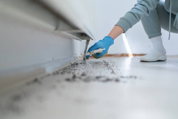 Best Bed Bug Extermination  in Jim Thorpe, PA