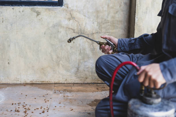 Best Local Pest Control Services  in Jim Thorpe, PA