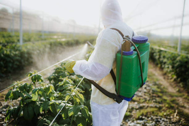 Professional Pest Control in Jim Thorpe, PA